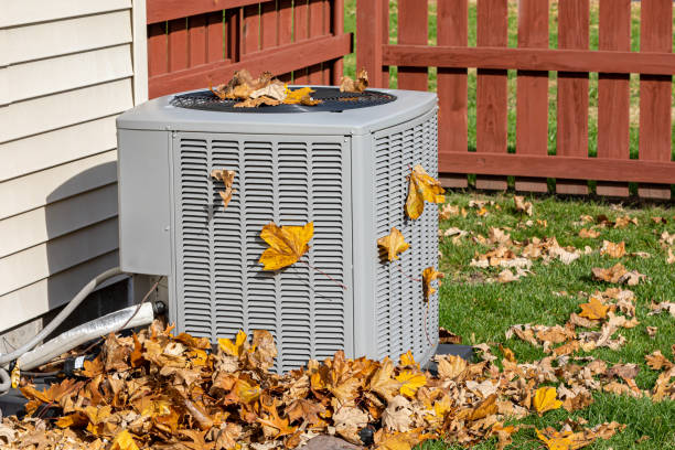 Best HVAC Air Duct Cleaning  in Cobden, IL